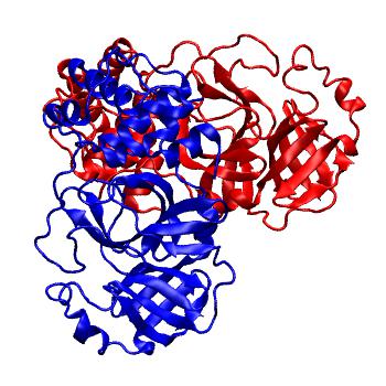 Structure preview of Folding@home molecular dynamics simulations of Diamond Light Source / XChem X-ray structures of small molecule inhibitors of the SARS-CoV-2 main protease from the COVID Moonshot; project 13436, run 316