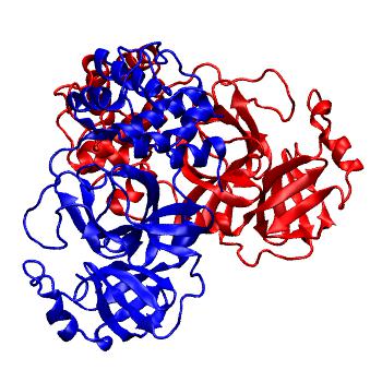 Structure preview of Folding@home molecular dynamics simulations of Diamond Light Source / XChem X-ray structures of small molecule inhibitors of the SARS-CoV-2 main protease from the COVID Moonshot; project 13436, run 317