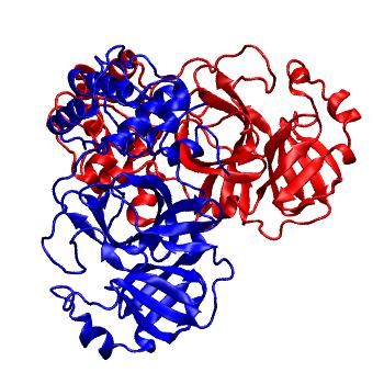 Structure preview of Folding@home molecular dynamics simulations of Diamond Light Source / XChem X-ray structures of small molecule inhibitors of the SARS-CoV-2 main protease from the COVID Moonshot; project 13436, run 319