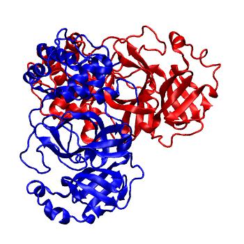 Structure preview of Folding@home molecular dynamics simulations of Diamond Light Source / XChem X-ray structures of small molecule inhibitors of the SARS-CoV-2 main protease from the COVID Moonshot; project 13436, run 31