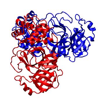 Structure preview of Folding@home molecular dynamics simulations of Diamond Light Source / XChem X-ray structures of small molecule inhibitors of the SARS-CoV-2 main protease from the COVID Moonshot; project 13436, run 321