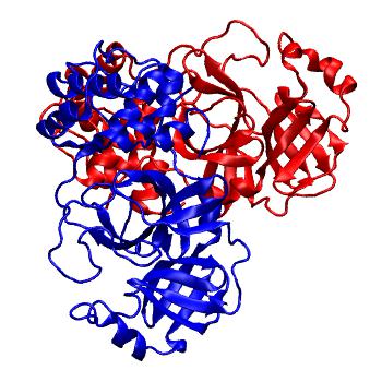 Structure preview of Folding@home molecular dynamics simulations of Diamond Light Source / XChem X-ray structures of small molecule inhibitors of the SARS-CoV-2 main protease from the COVID Moonshot; project 13436, run 324