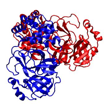 Structure preview of Folding@home molecular dynamics simulations of Diamond Light Source / XChem X-ray structures of small molecule inhibitors of the SARS-CoV-2 main protease from the COVID Moonshot; project 13436, run 326