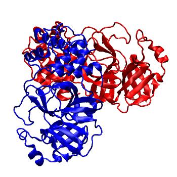 Structure preview of Folding@home molecular dynamics simulations of Diamond Light Source / XChem X-ray structures of small molecule inhibitors of the SARS-CoV-2 main protease from the COVID Moonshot; project 13436, run 32