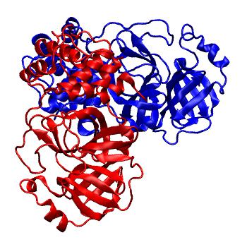 Structure preview of Folding@home molecular dynamics simulations of Diamond Light Source / XChem X-ray structures of small molecule inhibitors of the SARS-CoV-2 main protease from the COVID Moonshot; project 13436, run 330