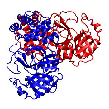 Structure preview of Folding@home molecular dynamics simulations of Diamond Light Source / XChem X-ray structures of small molecule inhibitors of the SARS-CoV-2 main protease from the COVID Moonshot; project 13436, run 335
