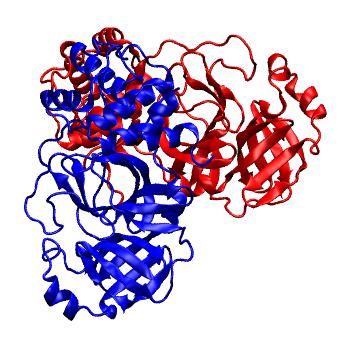 Structure preview of Folding@home molecular dynamics simulations of Diamond Light Source / XChem X-ray structures of small molecule inhibitors of the SARS-CoV-2 main protease from the COVID Moonshot; project 13436, run 336