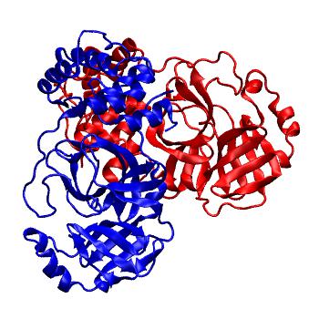 Structure preview of Folding@home molecular dynamics simulations of Diamond Light Source / XChem X-ray structures of small molecule inhibitors of the SARS-CoV-2 main protease from the COVID Moonshot; project 13436, run 338
