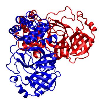 Structure preview of Folding@home molecular dynamics simulations of Diamond Light Source / XChem X-ray structures of small molecule inhibitors of the SARS-CoV-2 main protease from the COVID Moonshot; project 13436, run 339