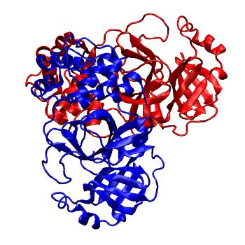 Structure preview of Folding@home molecular dynamics simulations of Diamond Light Source / XChem X-ray structures of small molecule inhibitors of the SARS-CoV-2 main protease from the COVID Moonshot; project 13436, run 340