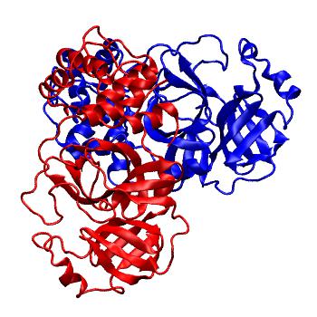 Structure preview of Folding@home molecular dynamics simulations of Diamond Light Source / XChem X-ray structures of small molecule inhibitors of the SARS-CoV-2 main protease from the COVID Moonshot; project 13436, run 343