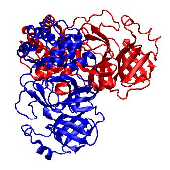 Structure preview of Folding@home molecular dynamics simulations of Diamond Light Source / XChem X-ray structures of small molecule inhibitors of the SARS-CoV-2 main protease from the COVID Moonshot; project 13436, run 345