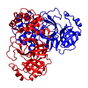 Structure preview of Folding@home molecular dynamics simulations of Diamond Light Source / XChem X-ray structures of small molecule inhibitors of the SARS-CoV-2 main protease from the COVID Moonshot; project 13436, run 34