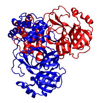 Structure preview of Folding@home molecular dynamics simulations of Diamond Light Source / XChem X-ray structures of small molecule inhibitors of the SARS-CoV-2 main protease from the COVID Moonshot; project 13436, run 36