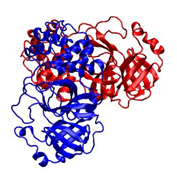 Structure preview of Folding@home molecular dynamics simulations of Diamond Light Source / XChem X-ray structures of small molecule inhibitors of the SARS-CoV-2 main protease from the COVID Moonshot; project 13436, run 37