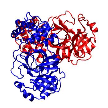 Structure preview of Folding@home molecular dynamics simulations of Diamond Light Source / XChem X-ray structures of small molecule inhibitors of the SARS-CoV-2 main protease from the COVID Moonshot; project 13436, run 39