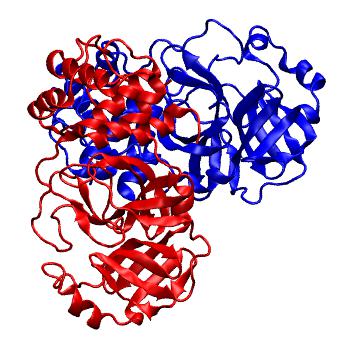 Structure preview of Folding@home molecular dynamics simulations of Diamond Light Source / XChem X-ray structures of small molecule inhibitors of the SARS-CoV-2 main protease from the COVID Moonshot; project 13436, run 41