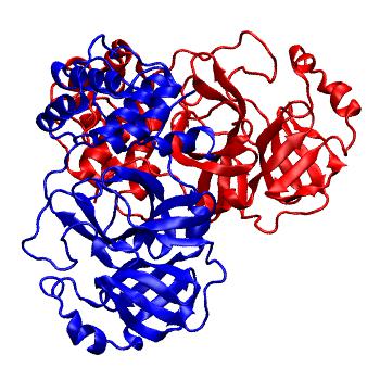 Structure preview of Folding@home molecular dynamics simulations of Diamond Light Source / XChem X-ray structures of small molecule inhibitors of the SARS-CoV-2 main protease from the COVID Moonshot; project 13436, run 42