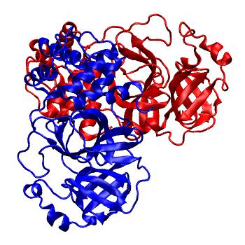 Structure preview of Folding@home molecular dynamics simulations of Diamond Light Source / XChem X-ray structures of small molecule inhibitors of the SARS-CoV-2 main protease from the COVID Moonshot; project 13436, run 46