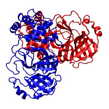 Structure preview of Folding@home molecular dynamics simulations of Diamond Light Source / XChem X-ray structures of small molecule inhibitors of the SARS-CoV-2 main protease from the COVID Moonshot; project 13436, run 48