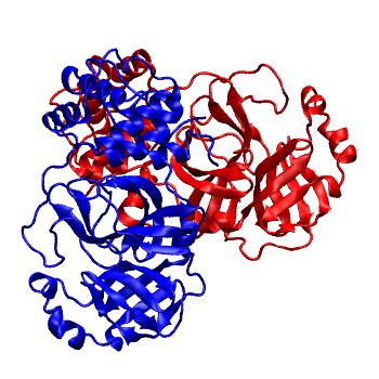 Structure preview of Folding@home molecular dynamics simulations of Diamond Light Source / XChem X-ray structures of small molecule inhibitors of the SARS-CoV-2 main protease from the COVID Moonshot; project 13436, run 49