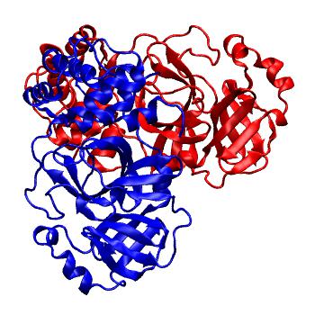 Structure preview of Folding@home molecular dynamics simulations of Diamond Light Source / XChem X-ray structures of small molecule inhibitors of the SARS-CoV-2 main protease from the COVID Moonshot; project 13436, run 50
