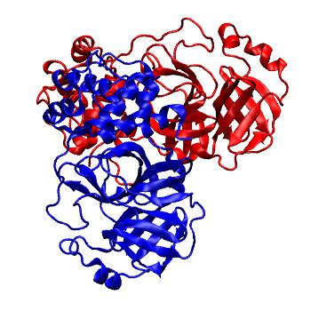 Structure preview of Folding@home molecular dynamics simulations of Diamond Light Source / XChem X-ray structures of small molecule inhibitors of the SARS-CoV-2 main protease from the COVID Moonshot; project 13436, run 51