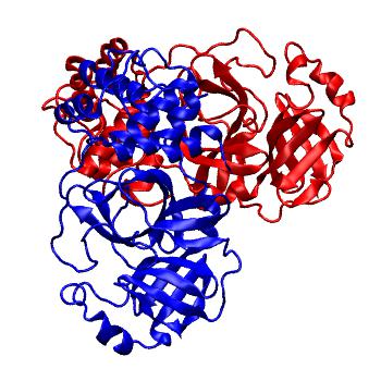 Structure preview of Folding@home molecular dynamics simulations of Diamond Light Source / XChem X-ray structures of small molecule inhibitors of the SARS-CoV-2 main protease from the COVID Moonshot; project 13436, run 54