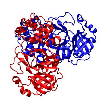 Structure preview of Folding@home molecular dynamics simulations of Diamond Light Source / XChem X-ray structures of small molecule inhibitors of the SARS-CoV-2 main protease from the COVID Moonshot; project 13436, run 55