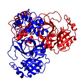 Structure preview of Folding@home molecular dynamics simulations of Diamond Light Source / XChem X-ray structures of small molecule inhibitors of the SARS-CoV-2 main protease from the COVID Moonshot; project 13436, run 56