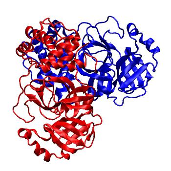 Structure preview of Folding@home molecular dynamics simulations of Diamond Light Source / XChem X-ray structures of small molecule inhibitors of the SARS-CoV-2 main protease from the COVID Moonshot; project 13436, run 58
