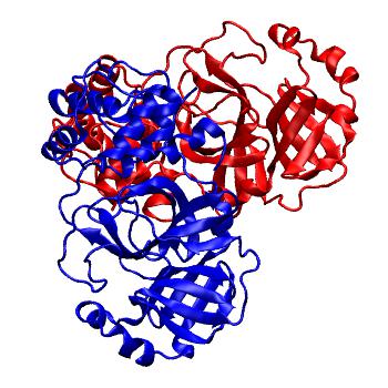 Structure preview of Folding@home molecular dynamics simulations of Diamond Light Source / XChem X-ray structures of small molecule inhibitors of the SARS-CoV-2 main protease from the COVID Moonshot; project 13436, run 59