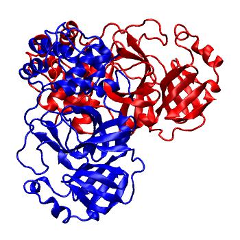 Structure preview of Folding@home molecular dynamics simulations of Diamond Light Source / XChem X-ray structures of small molecule inhibitors of the SARS-CoV-2 main protease from the COVID Moonshot; project 13436, run 60