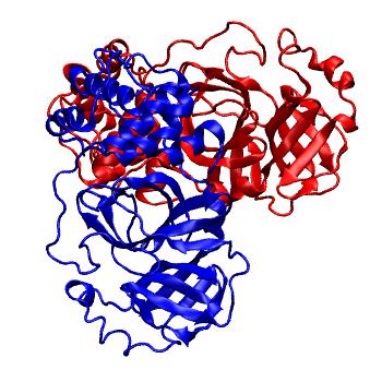 Structure preview of Folding@home molecular dynamics simulations of Diamond Light Source / XChem X-ray structures of small molecule inhibitors of the SARS-CoV-2 main protease from the COVID Moonshot; project 13436, run 62