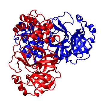 Structure preview of Folding@home molecular dynamics simulations of Diamond Light Source / XChem X-ray structures of small molecule inhibitors of the SARS-CoV-2 main protease from the COVID Moonshot; project 13436, run 63