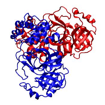 Structure preview of Folding@home molecular dynamics simulations of Diamond Light Source / XChem X-ray structures of small molecule inhibitors of the SARS-CoV-2 main protease from the COVID Moonshot; project 13436, run 65