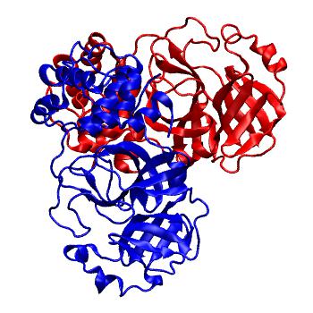 Structure preview of Folding@home molecular dynamics simulations of Diamond Light Source / XChem X-ray structures of small molecule inhibitors of the SARS-CoV-2 main protease from the COVID Moonshot; project 13436, run 67