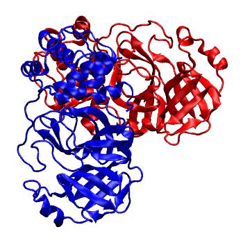 Structure preview of Folding@home molecular dynamics simulations of Diamond Light Source / XChem X-ray structures of small molecule inhibitors of the SARS-CoV-2 main protease from the COVID Moonshot; project 13436, run 6