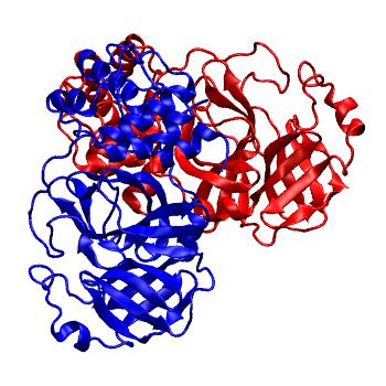 Structure preview of Folding@home molecular dynamics simulations of Diamond Light Source / XChem X-ray structures of small molecule inhibitors of the SARS-CoV-2 main protease from the COVID Moonshot; project 13436, run 70