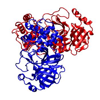 Structure preview of Folding@home molecular dynamics simulations of Diamond Light Source / XChem X-ray structures of small molecule inhibitors of the SARS-CoV-2 main protease from the COVID Moonshot; project 13436, run 71