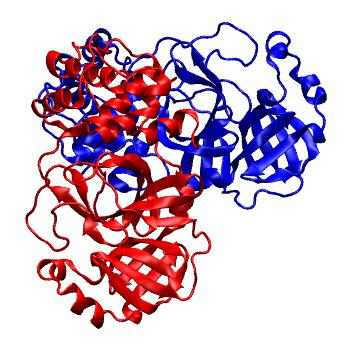 Structure preview of Folding@home molecular dynamics simulations of Diamond Light Source / XChem X-ray structures of small molecule inhibitors of the SARS-CoV-2 main protease from the COVID Moonshot; project 13436, run 73