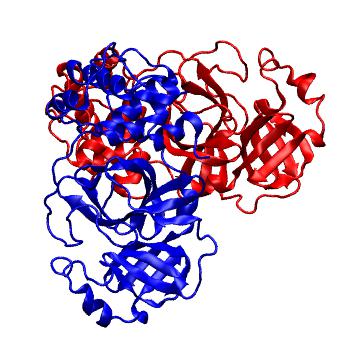 Structure preview of Folding@home molecular dynamics simulations of Diamond Light Source / XChem X-ray structures of small molecule inhibitors of the SARS-CoV-2 main protease from the COVID Moonshot; project 13436, run 74