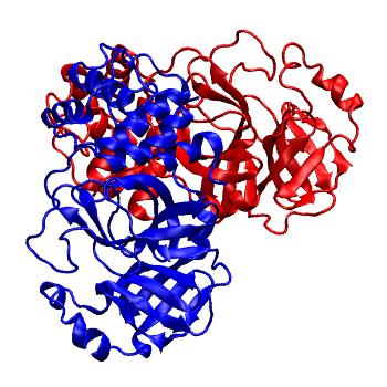 Structure preview of Folding@home molecular dynamics simulations of Diamond Light Source / XChem X-ray structures of small molecule inhibitors of the SARS-CoV-2 main protease from the COVID Moonshot; project 13436, run 78