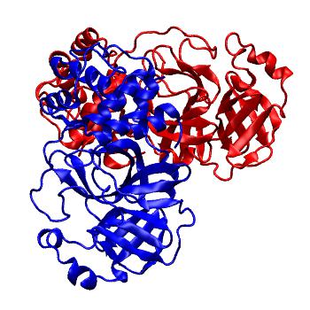 Structure preview of Folding@home molecular dynamics simulations of Diamond Light Source / XChem X-ray structures of small molecule inhibitors of the SARS-CoV-2 main protease from the COVID Moonshot; project 13436, run 80