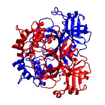 Structure preview of Folding@home molecular dynamics simulations of Diamond Light Source / XChem X-ray structures of small molecule inhibitors of the SARS-CoV-2 main protease from the COVID Moonshot; project 13436, run 82