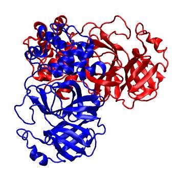 Structure preview of Folding@home molecular dynamics simulations of Diamond Light Source / XChem X-ray structures of small molecule inhibitors of the SARS-CoV-2 main protease from the COVID Moonshot; project 13436, run 83