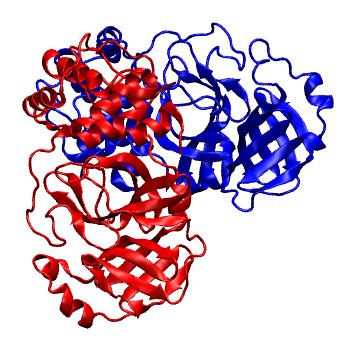 Structure preview of Folding@home molecular dynamics simulations of Diamond Light Source / XChem X-ray structures of small molecule inhibitors of the SARS-CoV-2 main protease from the COVID Moonshot; project 13436, run 85