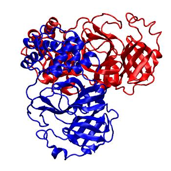 Structure preview of Folding@home molecular dynamics simulations of Diamond Light Source / XChem X-ray structures of small molecule inhibitors of the SARS-CoV-2 main protease from the COVID Moonshot; project 13436, run 89