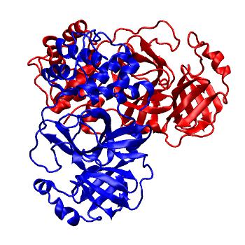 Structure preview of Folding@home molecular dynamics simulations of Diamond Light Source / XChem X-ray structures of small molecule inhibitors of the SARS-CoV-2 main protease from the COVID Moonshot; project 13436, run 90