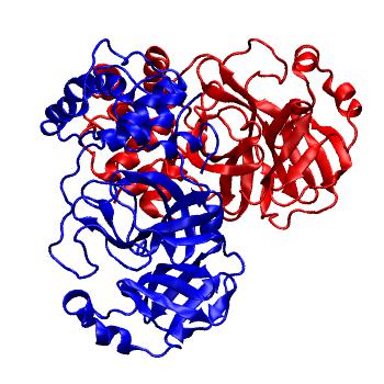 Structure preview of Folding@home molecular dynamics simulations of Diamond Light Source / XChem X-ray structures of small molecule inhibitors of the SARS-CoV-2 main protease from the COVID Moonshot; project 13436, run 91
